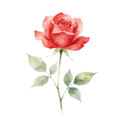 rose